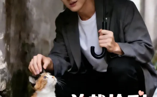 短剧《总裁捡到笨猫猫 (41集)》免费观看全集