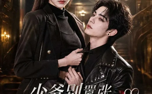 短剧《少爷别嚣张你老婆来了 (64集)》免费观看全集