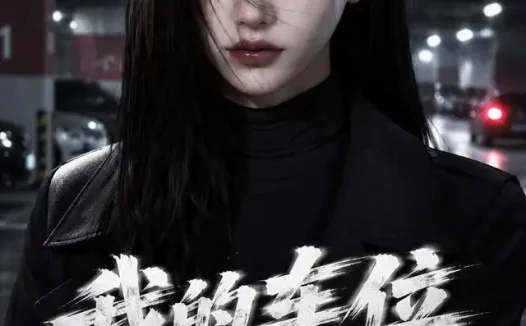 短剧《我的车位谁做主 (38集) AI短剧》免费观看全集