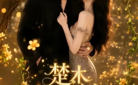 短剧《楚木交枝 (70集)》免费观看全集