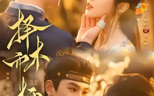 短剧《择木而栖 (84集) 李若洵&岳雨婷》免费观看全集