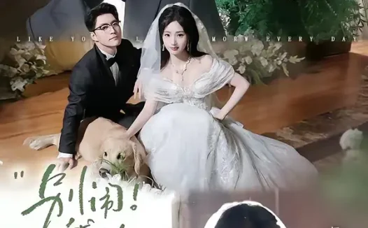 短剧《别闹我的钟秘书 (84集) 杨殊予&赵廷义》免费观看全集