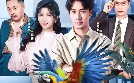 短剧《我小小鹦鹉整顿职场一把好手 (62集) 朱宏钊&林念初&周伟&负辰鑫》免费观看全集
