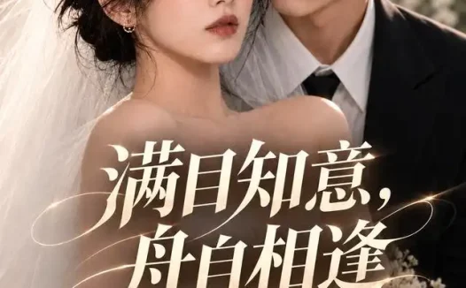 短剧《满目知意舟自相逢 (40集)》免费观看全集