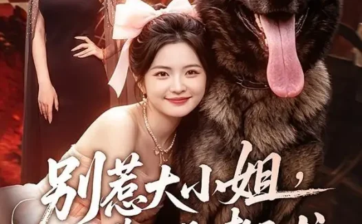 短剧《别惹大小姐她靠山是哮天犬 (86集) 常珂欣&刘继泽》免费观看全集