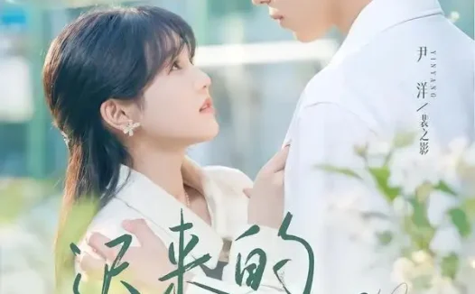 短剧《迟来的热恋 (80集) 尹洋&李美慧》免费观看全集