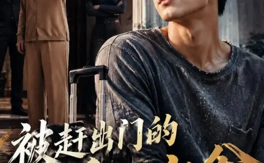 短剧《被赶出门的千万富翁 (73集) AI短剧》免费观看全集