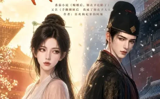 短剧《清澜记手撕绑匪后我成了锦衣卫夫人 (100集)》免费观看全集