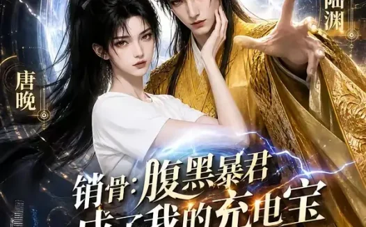 短剧《销骨腹黑暴君成了我的充电宝 (133集)》免费观看全集