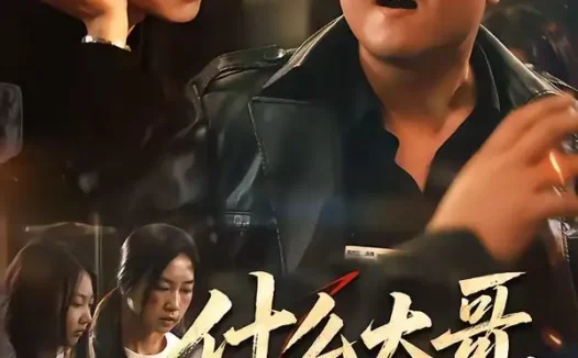 短剧《什么大哥叫我高律师 (65集) 高峰&胡柯》免费观看全集