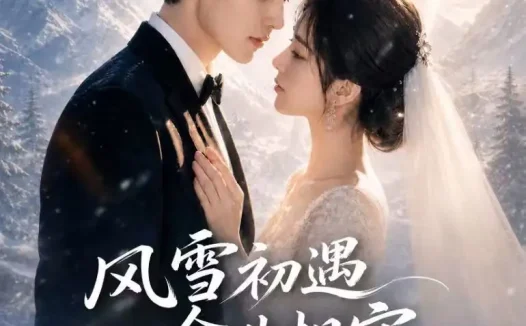 短剧《风雪初遇余生相守 (40集)》免费观看全集