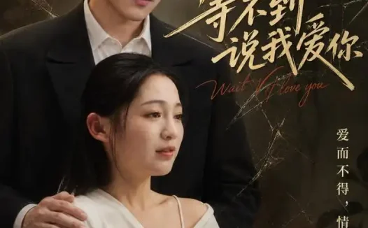 短剧《等不到说我爱你 (82集) 崔秀子&蒋文琦》免费观看全集
