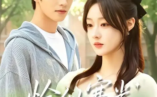 短剧《恰似寒光遇心动 (36集) 苏和&王楚贤》免费观看全集