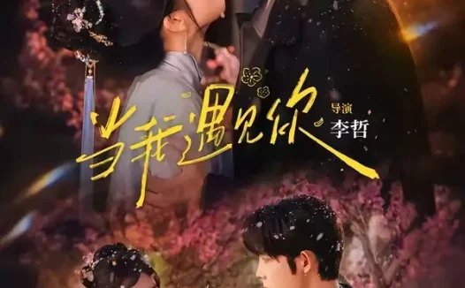 短剧《当我遇见你 (70集) 王晨鹏&田甜一》免费观看全集