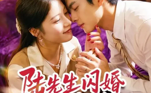 短剧《陆先生闪婚请多指教 (53集) 陈馨雨&周煜枫》免费观看全集