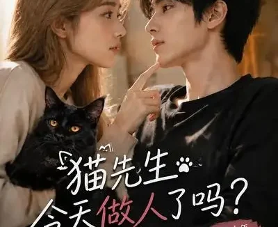 短剧《猫先生今天做人了吗 (84集)》免费观看全集