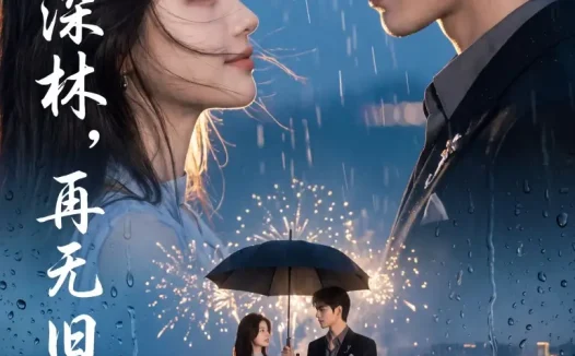 短剧《夏有深林再无旧砚 (50集)》免费观看全集