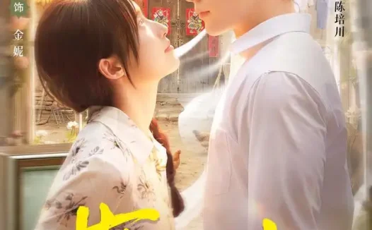 短剧《探春光 (80集) 申晴&焦睿》免费观看全集