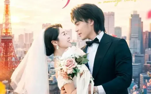 短剧《我和上司有本结婚证 (71集) 余沛杉&徐思祁》免费观看全集