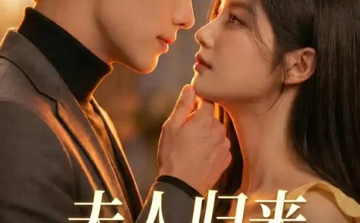短剧《夫人归来楼总撑腰 (92集)》免费观看全集