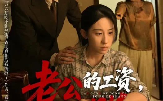 短剧《老公的工资婆婆的账 (65集) 李世鑫&丁磊》免费观看全集