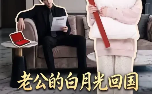 短剧《老公的白月光回国我连夜备好离婚协议 (100集)》免费观看全集