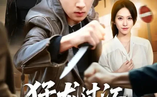 短剧《猛龙过江绝不回头 (81集) 孔奇力&金美希》免费观看全集