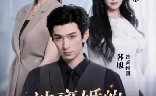 短剧《被离婚的幕后玩家 (61集) 朱磊&韩旭》免费观看全集