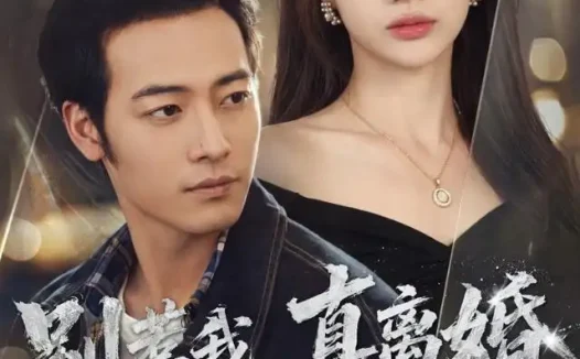 短剧《别惹我真离婚你全家都得慌 (60集) 肖琪峰&言灵》免费观看全集