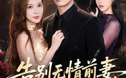 短剧《告别无情前妻她先破防了 (62集) 杨川北&林琦婷》免费观看全集