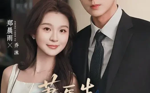 短剧《萧医生你搞错老婆啦 (65集) 王彦鑫&郑晨雨》免费观看全集