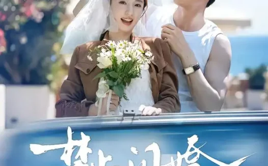 短剧《禁止闪婚雾散归栖时 (66集) 王凯沐&谭盐盐》免费观看全集