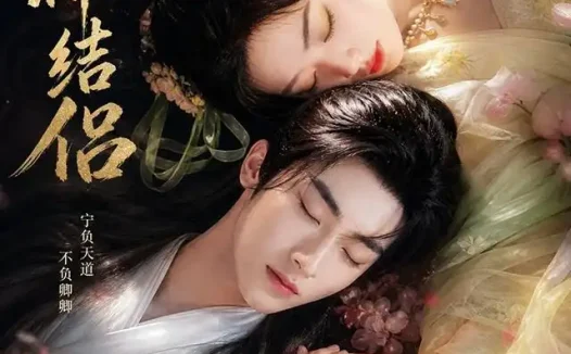 短剧《祈神结侣 (25集)》免费观看全集