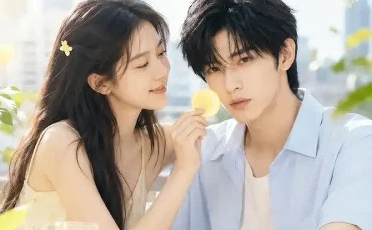短剧《偷不走的爱与光3 (90集)》免费观看全集