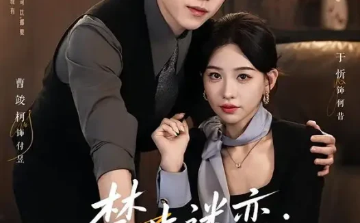 短剧《禁止迷恋何秘书她心硬如铁 (55集) 曹竣柯&于忻》免费观看全集