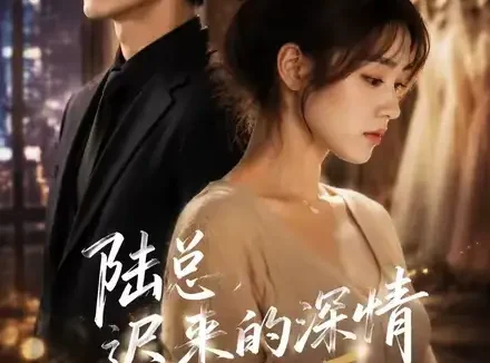 短剧《陆总迟来的深情我不要 (58集)》免费观看全集