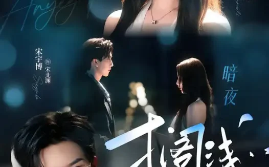 短剧《暗夜搁浅 (82集) 宋宇博&刘蔓莉》免费观看全集