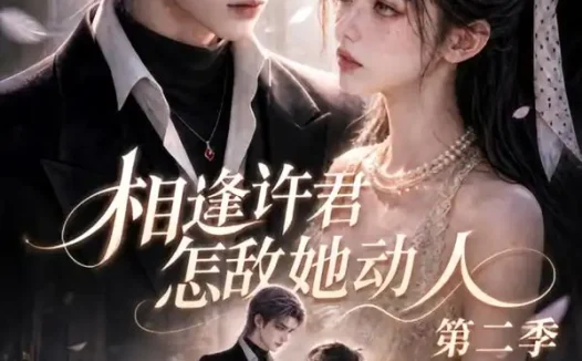 短剧《相逢许君怎敌她动人第二季 (100集)》免费观看全集