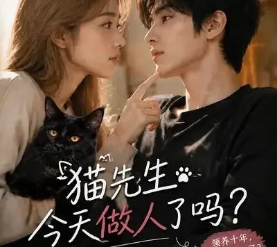 短剧《猫先生今天做人了吗 (84集)》免费观看全集