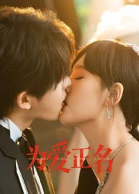 国产剧《为爱正名》第12集 全集在线观看免费播放网盘资源