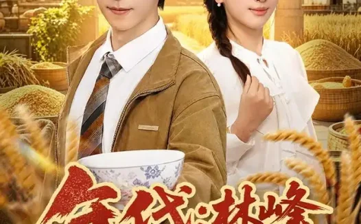 短剧《年代林峰寻妻记 (95集) 李星辰&布依涵》免费观看全集
