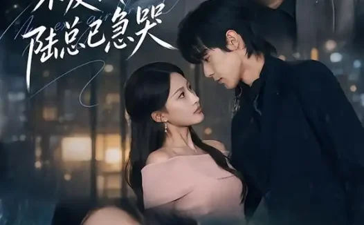 短剧《拜金前女友不爱钱了陆总已急哭 (40集) 李佳明&杨添羽》免费观看全集