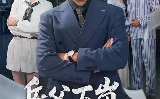 短剧《岳父下岗的第六年 (60集) 王晔&冯欢欢》免费观看全集