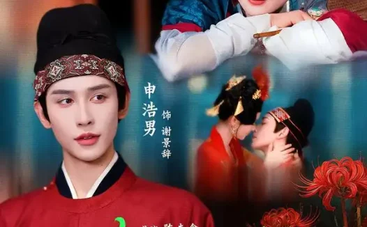 短剧《许你更如意 (77集) 申浩男&翟一莹》免费观看全集