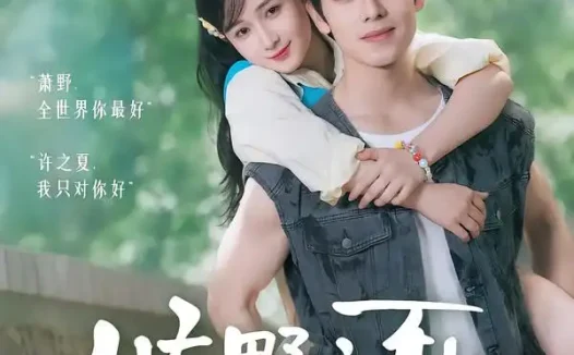 短剧《旷野之夏许我夏至 (90集) 曾辉&汪海敏》免费观看全集