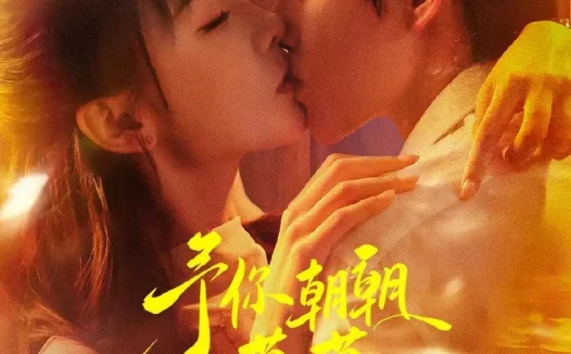 短剧《予你朝朝暮暮 (91集) 王星玮&王云云》免费观看全集
