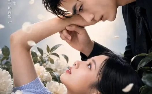 短剧《坠入你的万丈红尘 (72集)》免费观看全集