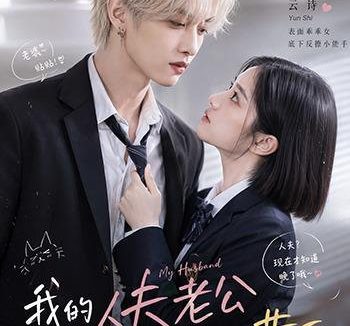 短剧《我的人夫老公少年时竟然是黄毛!(15集)AI短剧 (2026)》免费观看全集