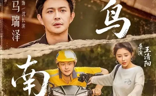 《候鸟南渡(75集)悦悦&马瑞泽 (2026)》短剧全集免费在线观看