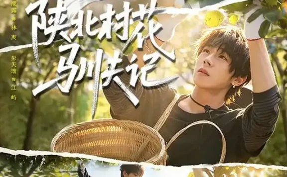 《陕北村花驯夫记(40集)彭天瑞&翟成露 (2026)》短剧全集免费在线观看